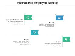 Multinational employee benefits ppt powerpoint presentation styles icons cpb