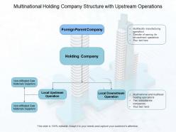 Multinational holding company structure with upstream operations