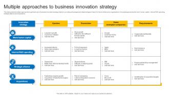 Multiple Approaches To Business Innovation Strategy