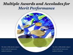 Multiple awards and accolades for merit performance