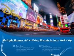 Multiple Banner Advertising Brands In New York City