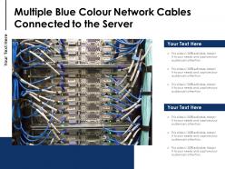 Multiple blue colour network cables connected to the server
