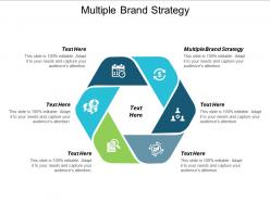 Multiple brand strategy ppt powerpoint presentation professional maker cpb