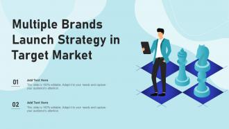 Multiple Brands Launch Strategy In Target Market