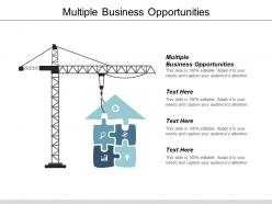 Multiple business opportunities ppt powerpoint presentation file mockup cpb