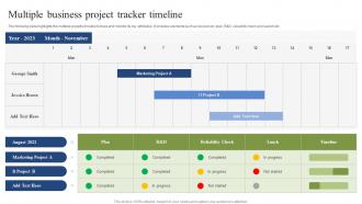 Multiple Business Project Tracker Timeline