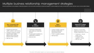 Multiple Business Relationship Strategic Plan For Corporate Relationship Management