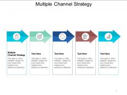 Multiple channel strategy ppt powerpoint presentation outline mockup cpb
