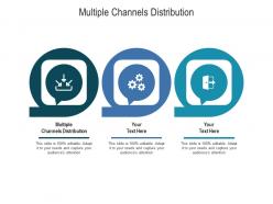 Multiple channels distribution ppt powerpoint presentation slides file formats cpb