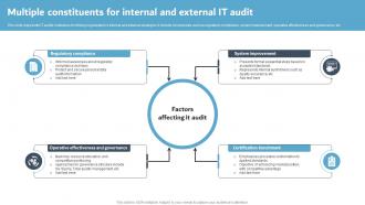 Multiple Constituents For Internal And External IT Audit