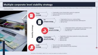 Multiple Corporate Level Stability Strategy