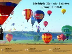 Multiple hot air balloon flying in fields