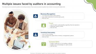 Multiple Issues Faced By Auditors In Accounting