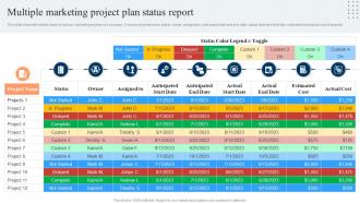 Multiple Marketing Project Plan Status Report