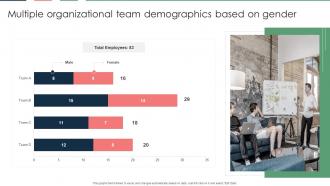 Multiple Organizational Team Demographics Based On Gender