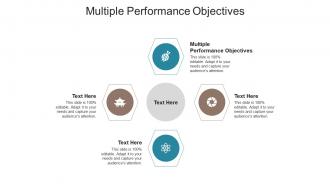 Multiple performance objectives ppt powerpoint presentation professional graphic tips cpb