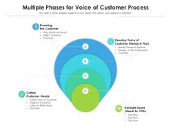 Multiple phases for voice of customer process