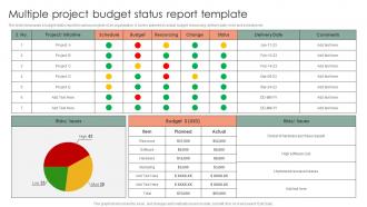 Multiple Project Budget Status Report Template