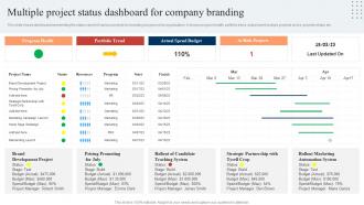 Multiple Project Status Dashboard Snapshot For Company Branding