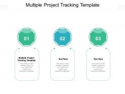 Multiple project tracking template ppt powerpoint presentation summary guidelines cpb