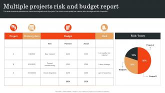 Multiple Projects Risk And Budget Report