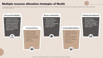 Multiple Resource Allocation Strategies Of Nestle Management Strategies Overview Strategy SS V