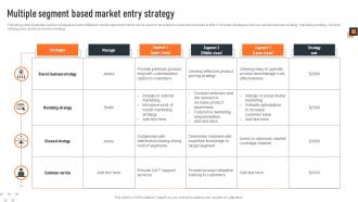 Multiple Segment Based Market Entry Strategy