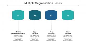 Multiple segmentation bases ppt powerpoint presentation inspiration templates cpb