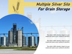 Multiple silver silo for grain storage