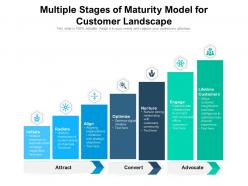 Multiple stages of maturity model for customer landscape