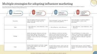 Multiple Strategies For Adopting Influencer Elevating Sales Revenue With New Travel Company Strategy SS V