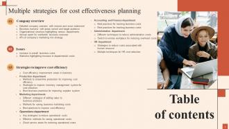 Multiple Strategies For Cost Effectiveness Planning Powerpoint Presentation Slides Aesthatic Colorful