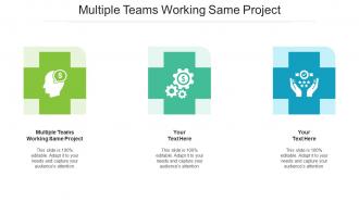 Multiple teams working same project ppt powerpoint presentation summary grid cpb