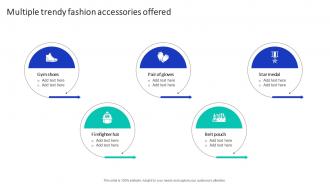 Multiple Trendy Fashion Accessories Efficient Marketing Campaign Plan Strategy SS V