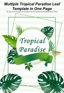 Multiple tropical paradise leaf template in one page presentation report infographic ppt pdf document