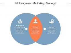 Multisegment marketing strategy ppt powerpoint presentation inspiration cpb