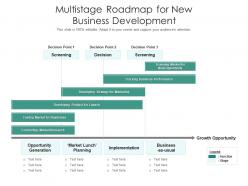 Multistage roadmap for new business development