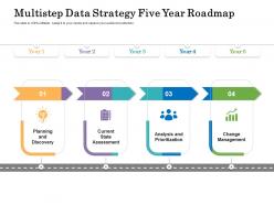 Multistep data strategy five year roadmap