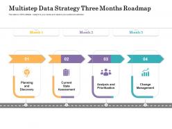 Multistep data strategy three months roadmap