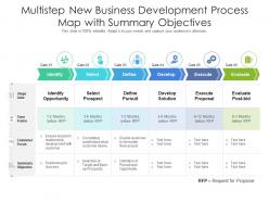 Multistep new business development process map with summary objectives