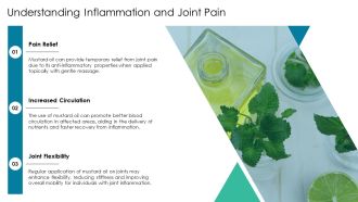 Mustard Oil Reduces Inflammation And Joint Pain PPT Outline AT Colorful Pre-designed