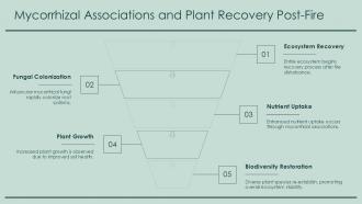 Mycorrhizal Associations And Plant Recovery Post Fire PPT Structure ACP