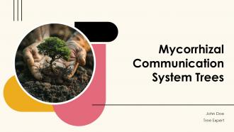 Mycorrhizal Communication System Trees PPT Information ACP