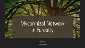 Mycorrhizal Network In Forestry PPT Information ACP