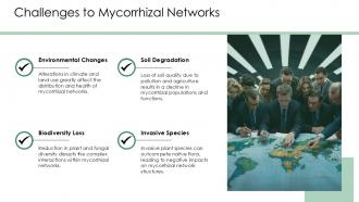 Mycorrhizal Networks In Ecosystem Structure And Functioning PPT Powerpoint ACP Impressive Best