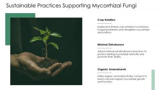 Mycorrhizal Networks In Ecosystem Structure And Functioning PPT Powerpoint ACP Engaging Best