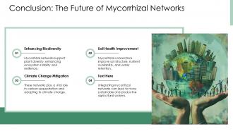 Mycorrhizal Networks In Ecosystem Structure And Functioning PPT Powerpoint ACP Pre-designed Best