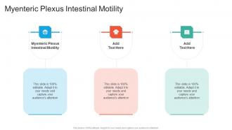 Myenteric Plexus Intestinal Motility In Powerpoint And Google Slides Cpb