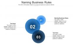 Naming business rules ppt powerpoint presentation infographic template vector cpb