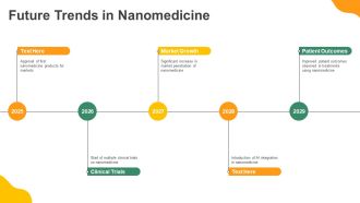 Nanotechnology Applications In Medicine PPT Summary AT Editable Impressive